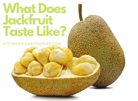 What does jackfruit taste like - Nov 6, 2023 · The jackfruit taste profile is a complex combination of flavors that make for a unique and enjoyable taste experience. Exploring the Jackfruit’s Taste Profile Jackfruit is an exotic fruit with a distinct taste that is often compared to a combination of pineapple, banana, and mango . 